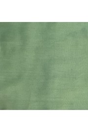 ΠΑΝΤΕΛΟΝΑ ΡΑΙΓΙΟΝ ΙΝΔ/ΣΙΑΣ